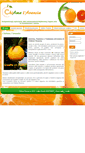 Mobile Screenshot of chiamalarancia.com